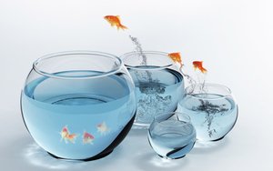 市场消费旺季来临，选购空调看准这几点